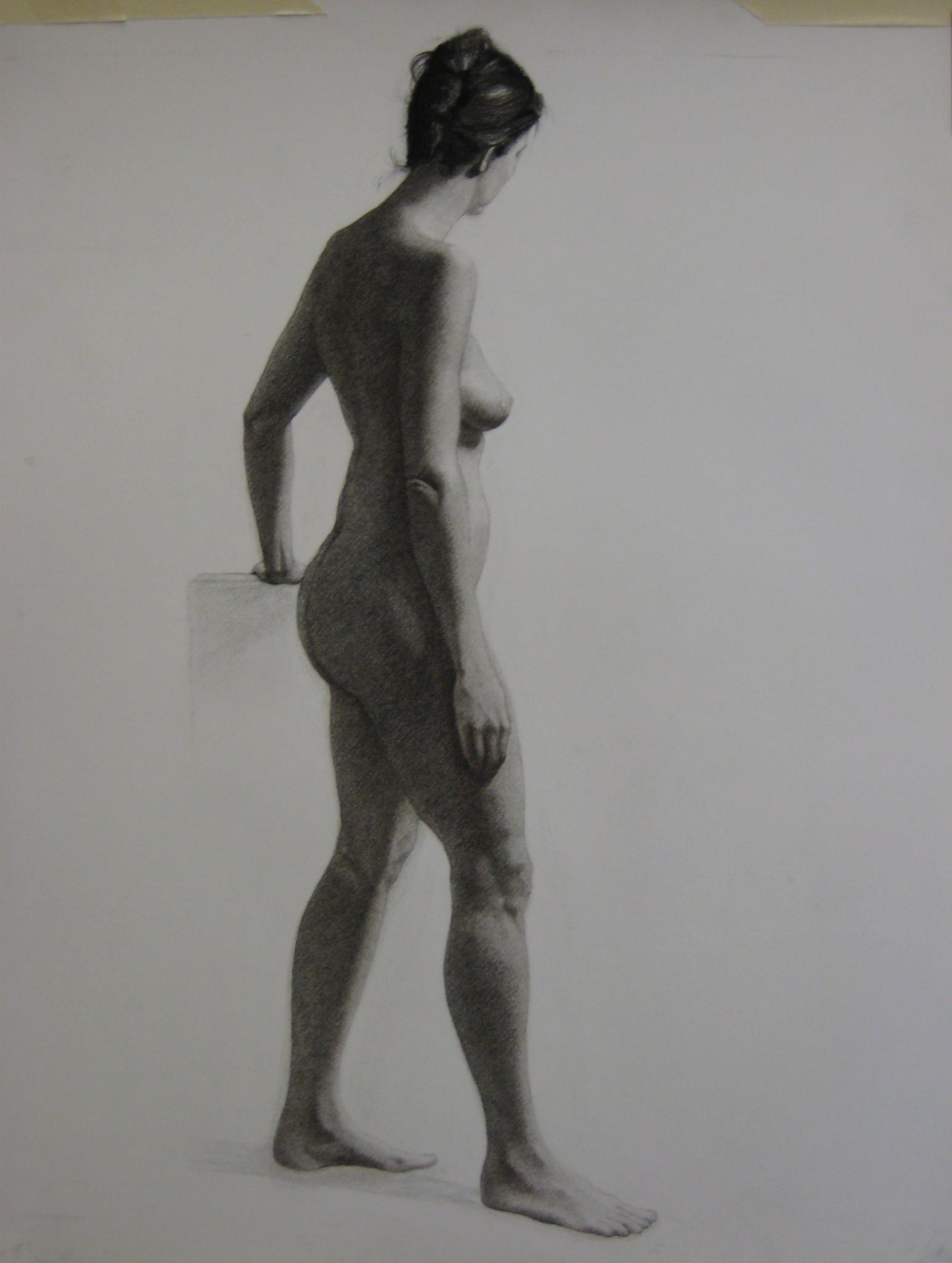 Nude Study Female Charcoal