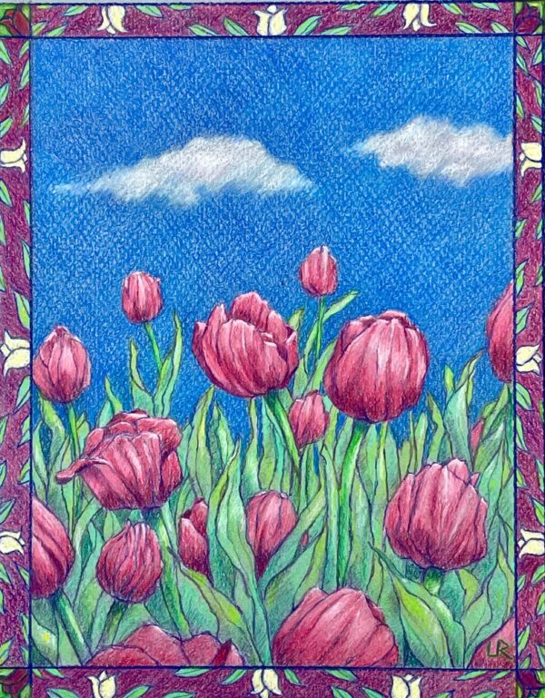 Tulips