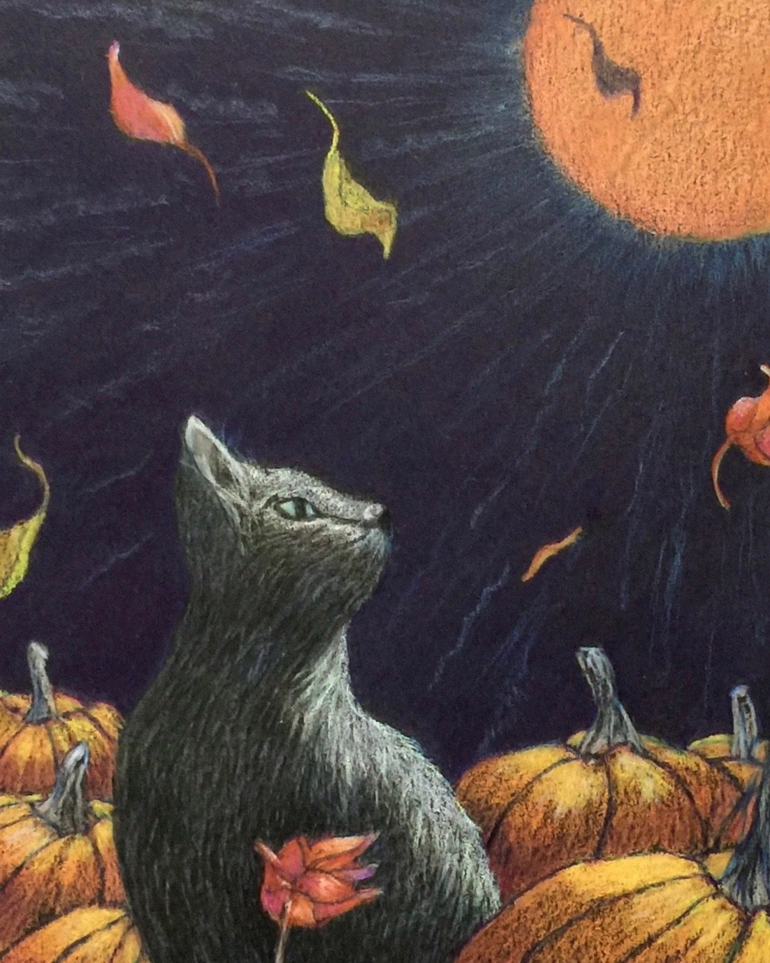 Cat Greeting Card Drawing 8 x 10 Colored pencil